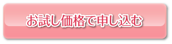 お試し価格