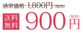 送料無料900円