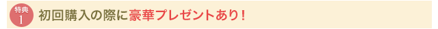 初回購入の際に豪華プレゼントあり！