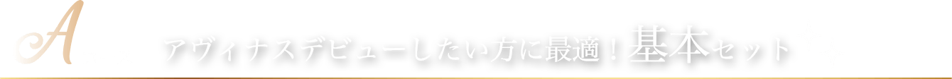 Aコース アヴィナスデビューしたい方に最適! 基本セット