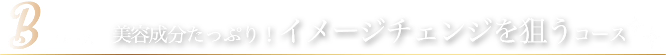 Bコース 美容たっぷり!イメージチェンジを狙うコース