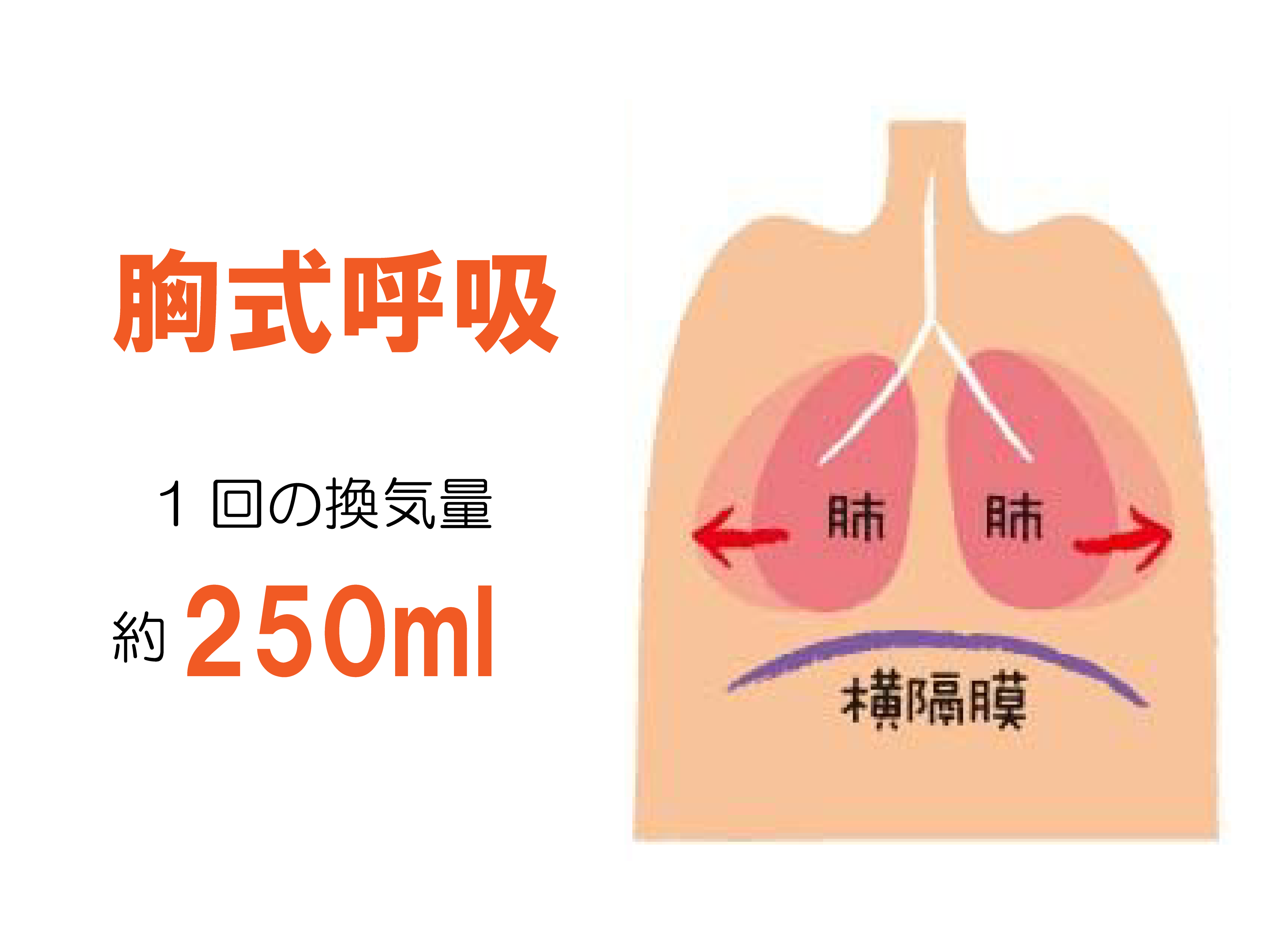 名称未設定-2-02