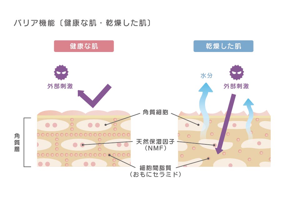 バリア機能