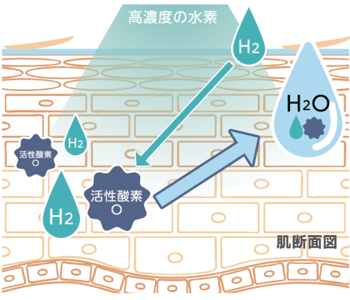 スクリーンショット (2095)
