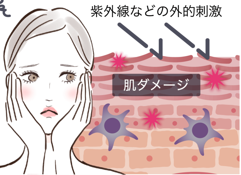 肌ダメージ